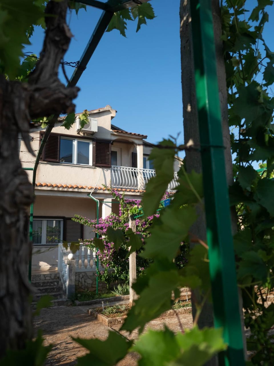 Property building, Garden view