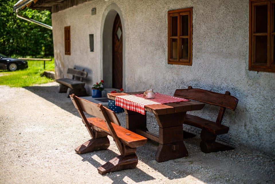 Patio, Day, Dining area