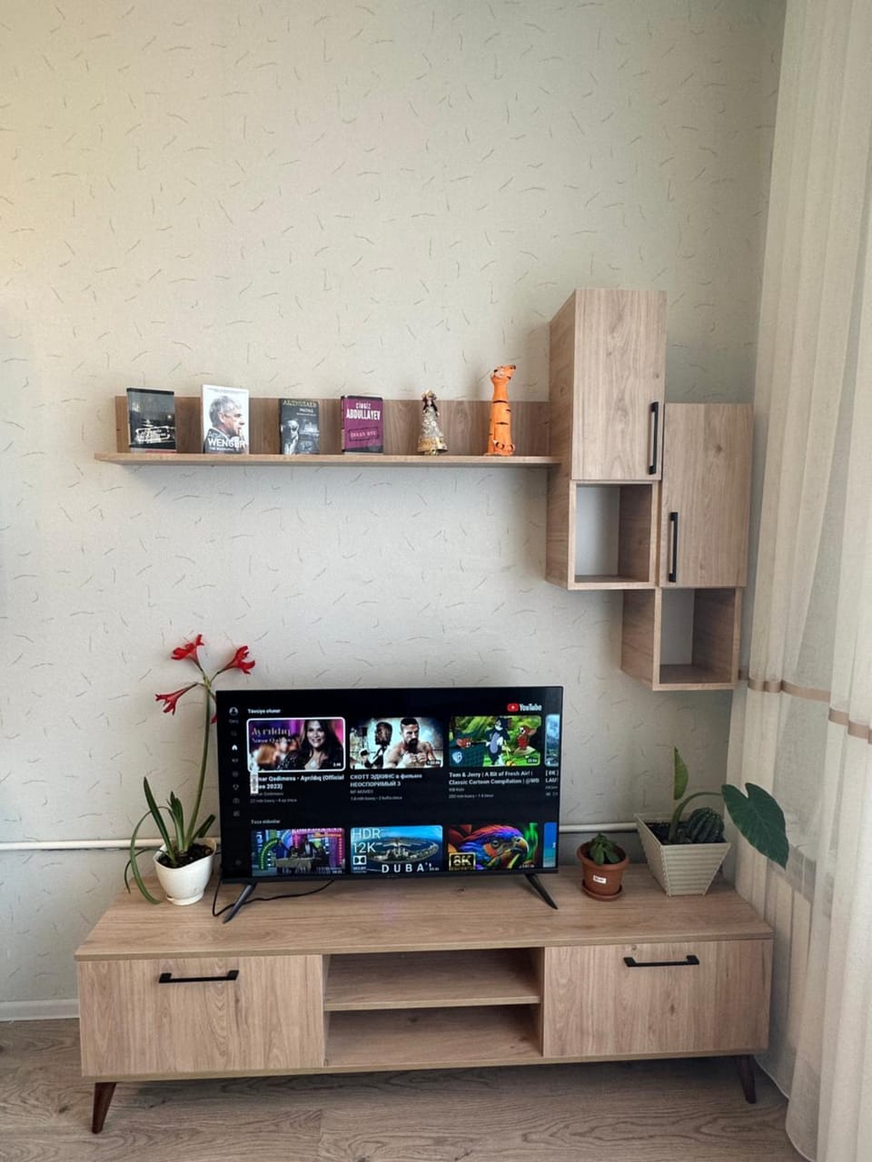 TV and multimedia