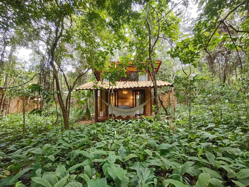 Natural landscape, Garden, Garden view