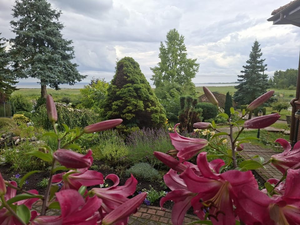 Spring, Day, Garden, Garden view, Lake view