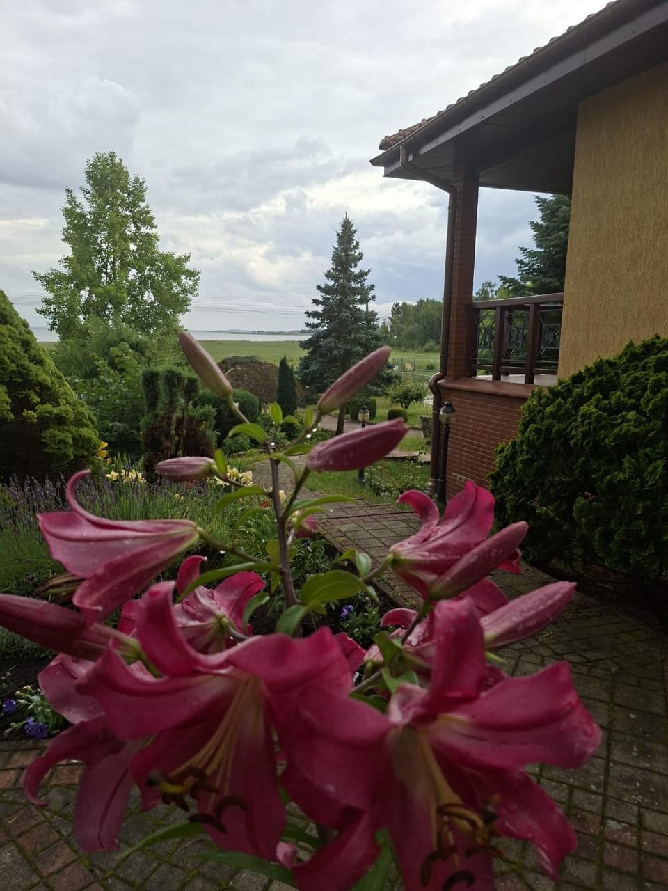Spring, Day, Natural landscape, Garden, Garden view, Lake view