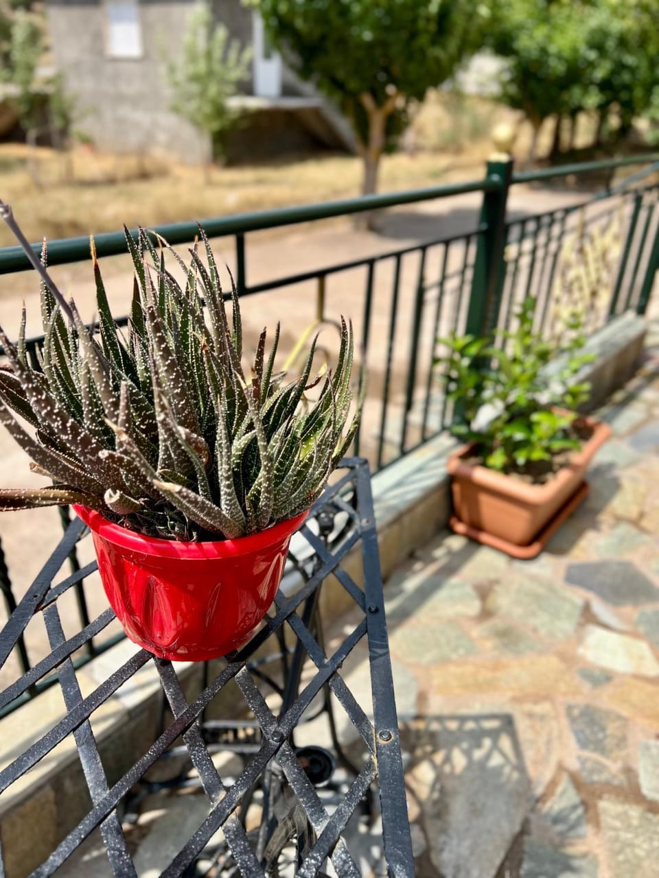 Spring, Day, Garden, View (from property/room), Balcony/Terrace, Garden view