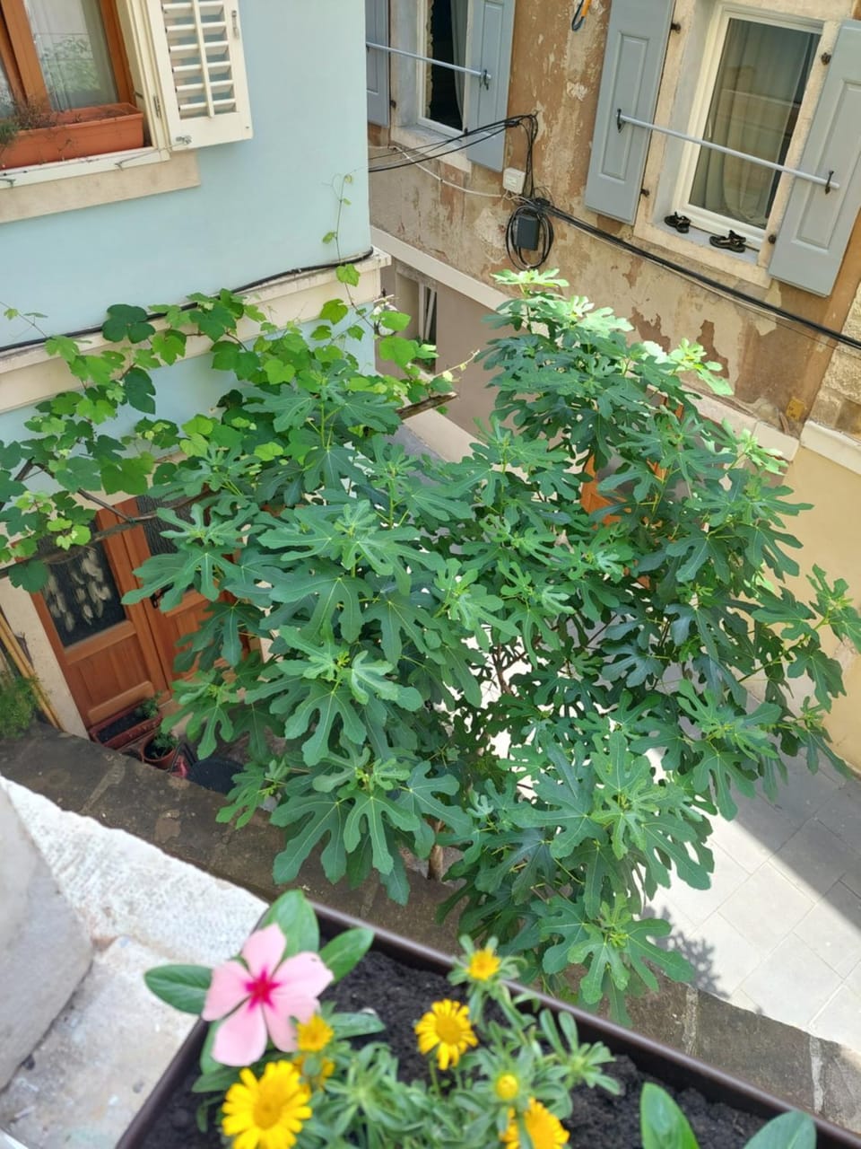 Day, View (from property/room)
