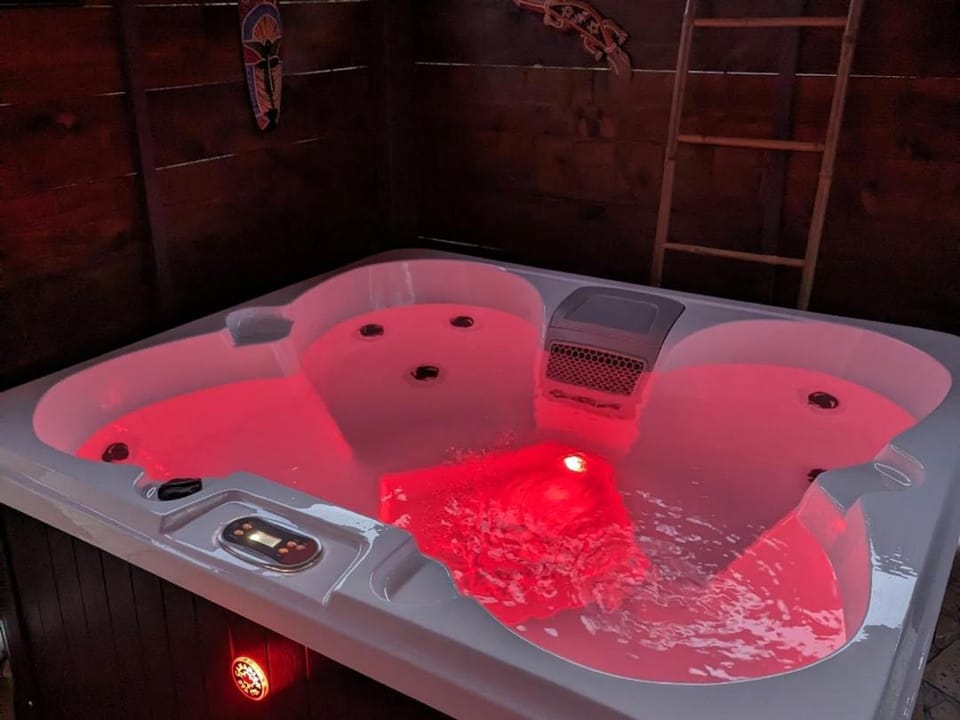 maison avec jaccuzi privatif Apartment in Nouvelle-Aquitaine