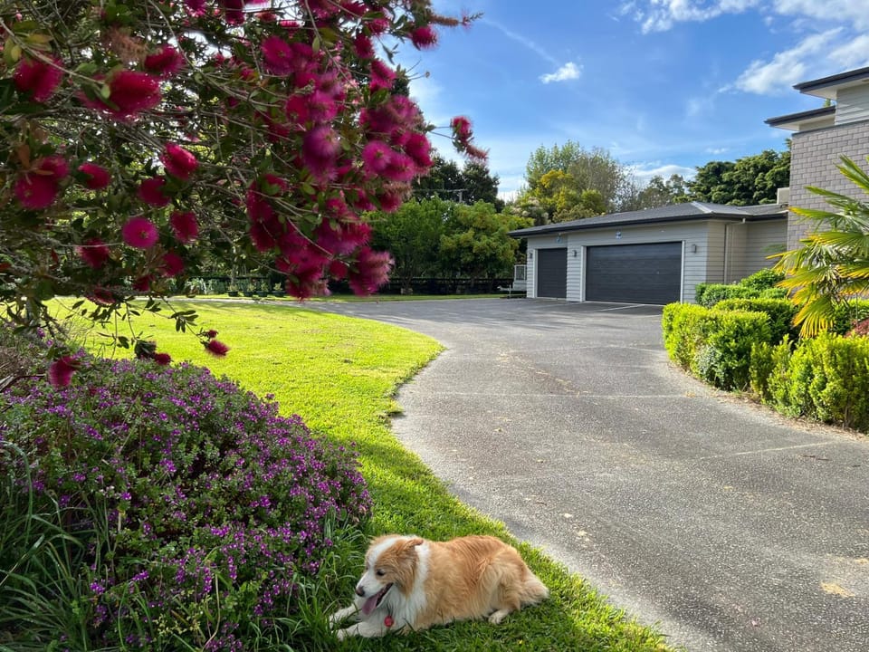 Tamahere Lifestyle Bed and Breakfast in Hamilton