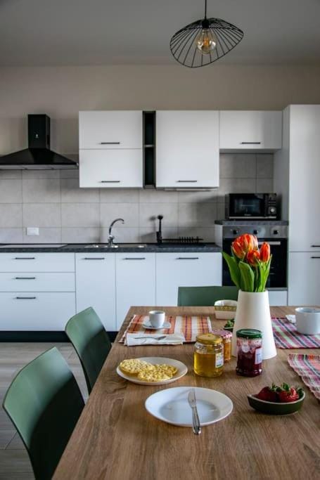 180° on the lake Apartment in Piedmont