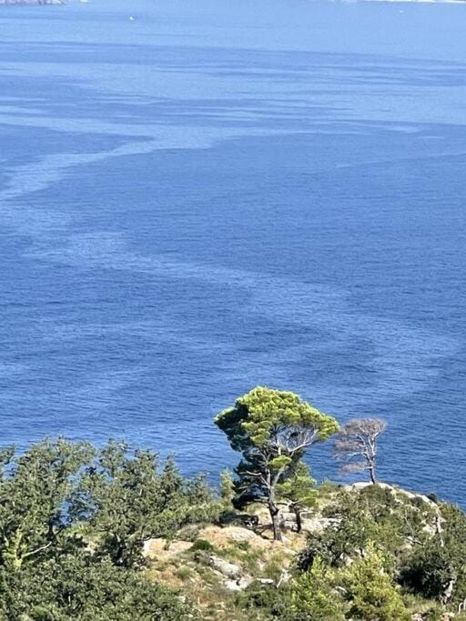Pleasure Dome Apartment in Budva Municipality