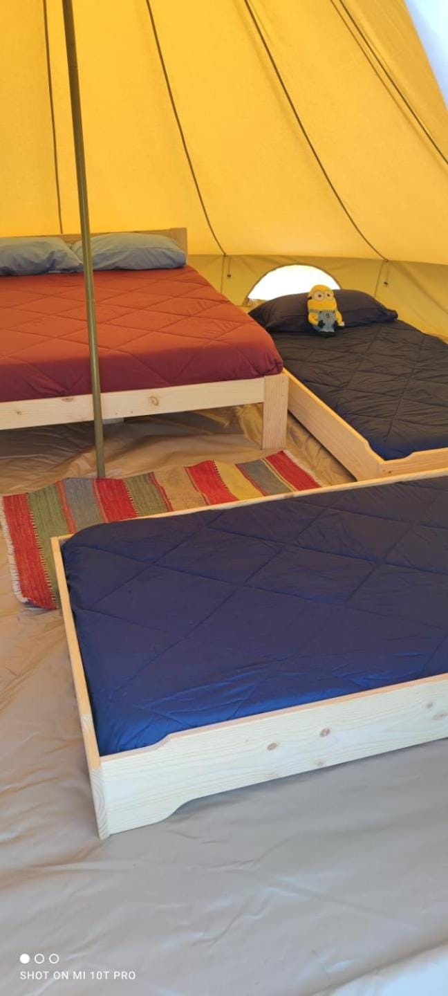 Tienda de lujo 4 personas - Camping Playa de Tapia Luxury tent in Asturias