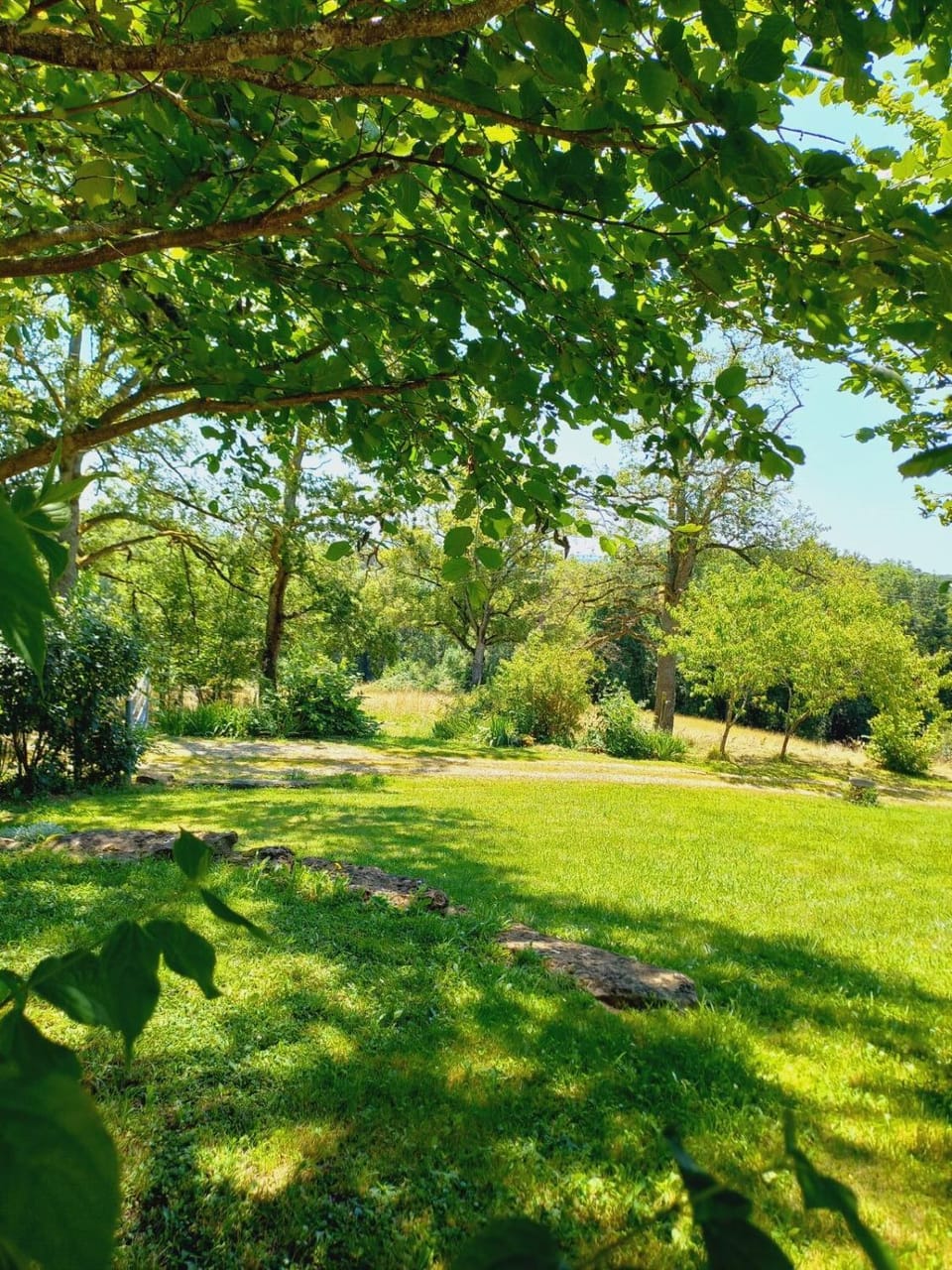 Property building, Garden, Garden, Garden view