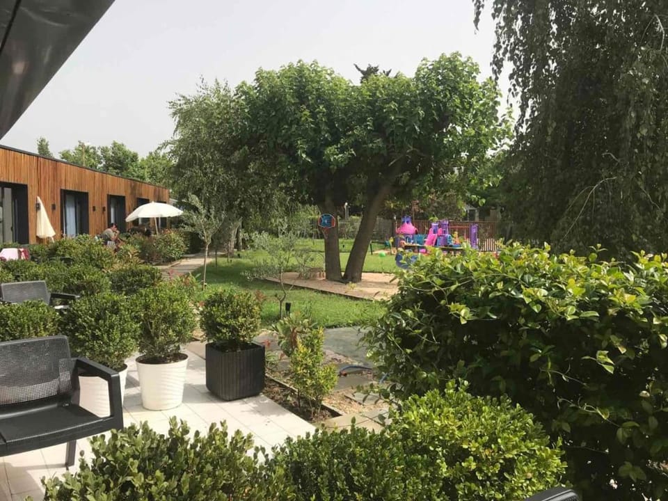 Natural landscape, Garden, Garden view