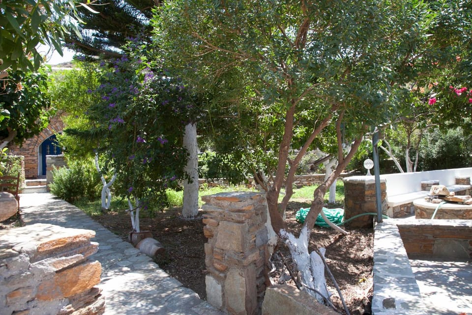 Day, Garden, Garden view