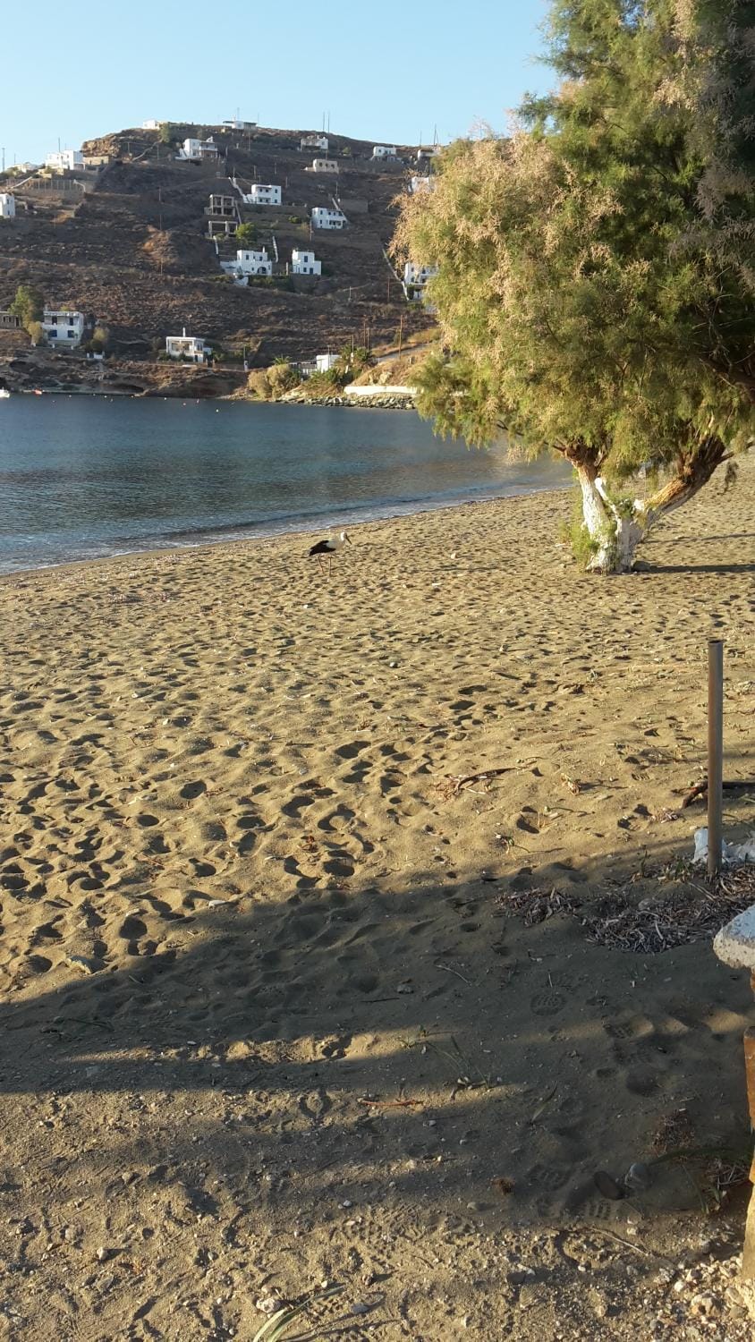 Day, Natural landscape, Beach, Sea view