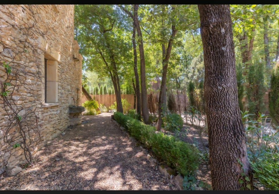 Garden, Garden