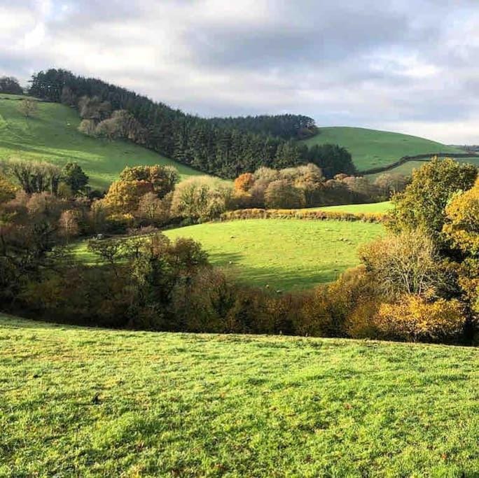 Tree house and shepherds hut & Hot Tub House in Ashburton