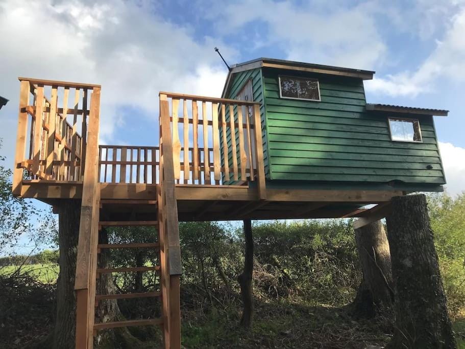 Tree house and shepherds hut House in Ashburton