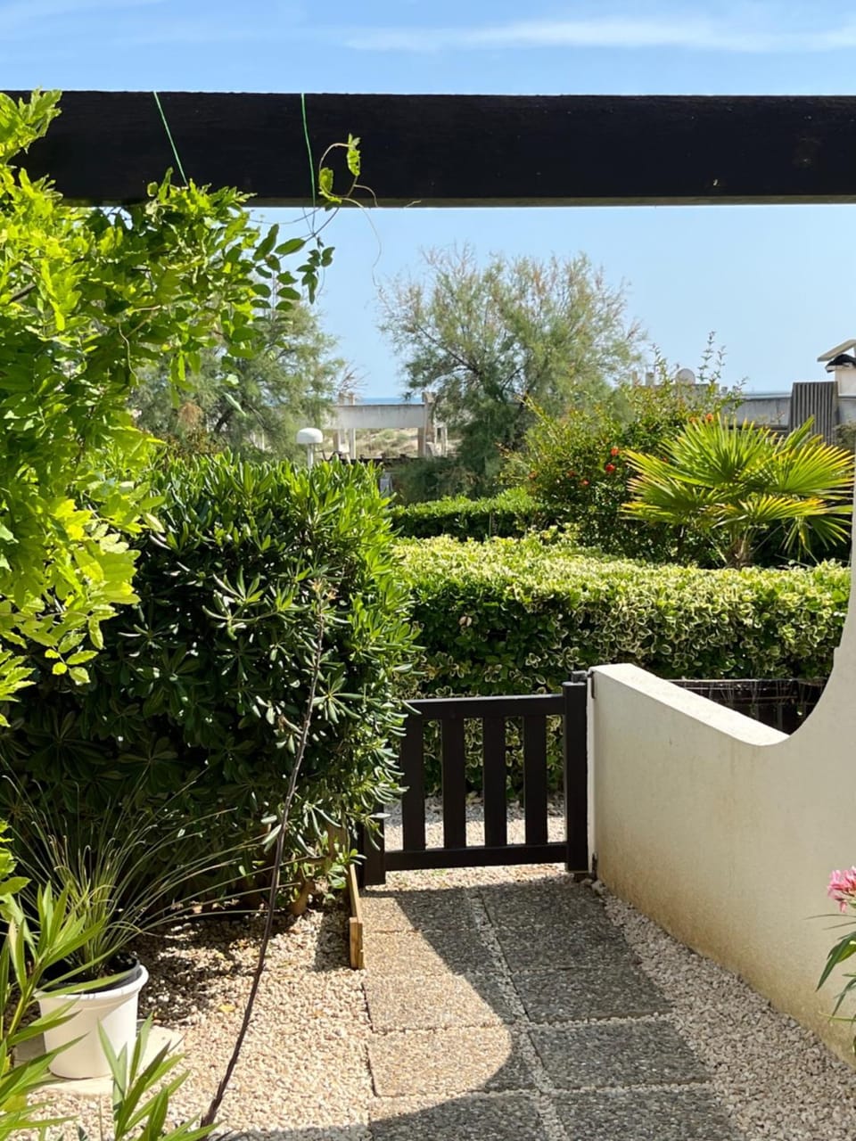Garden view