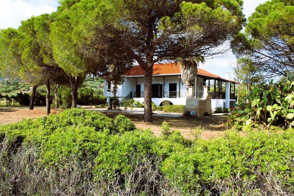Property building, Natural landscape, Summer, Garden
