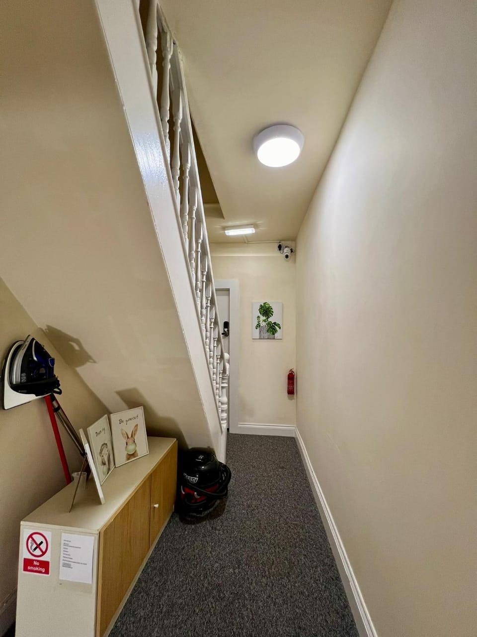 DVM escape Flat 3 Apartment in Bristol