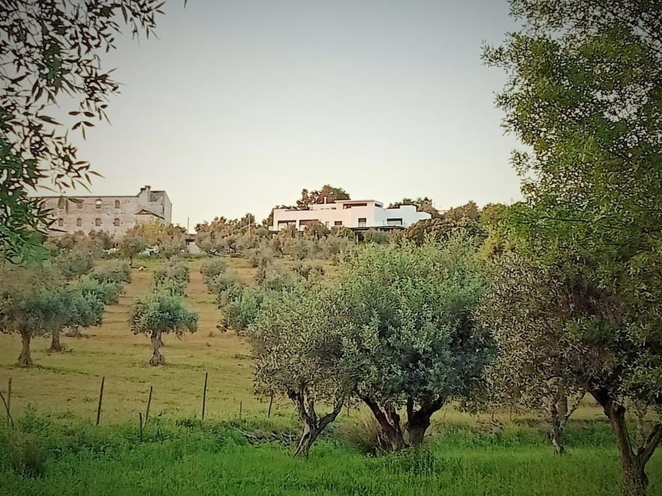 Property building, Natural landscape, View (from property/room)