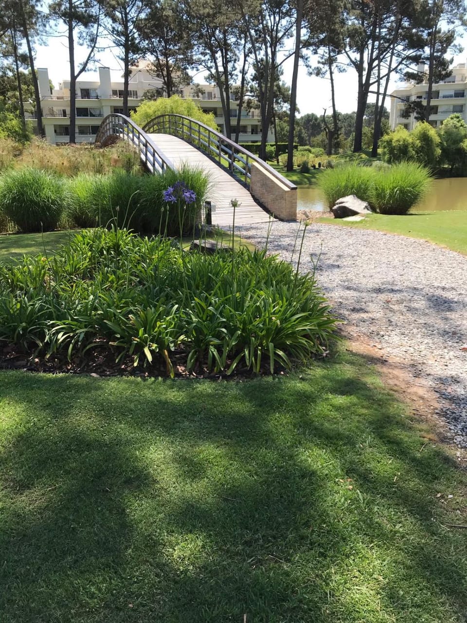 Garden, Swimming pool