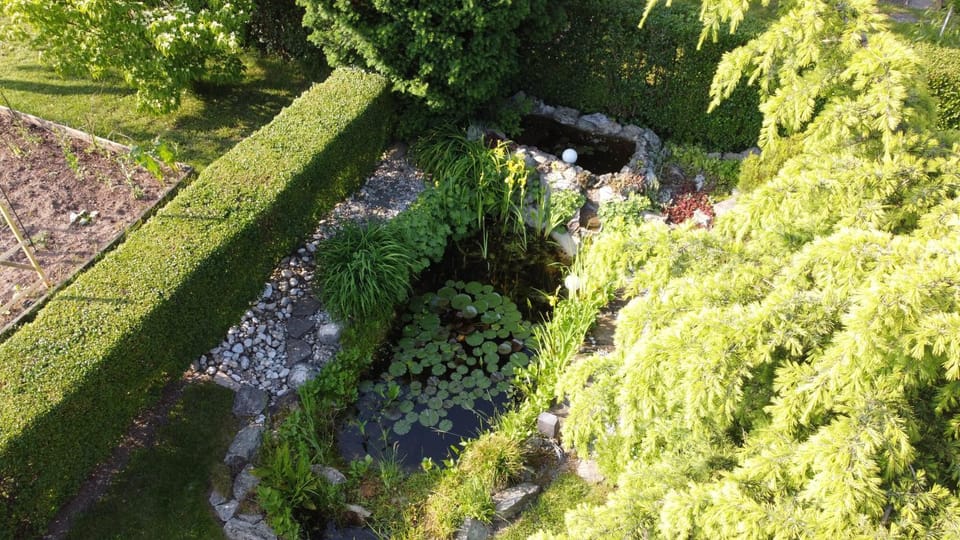 Garden, Garden view