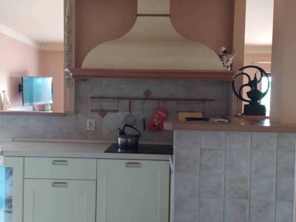 Kitchen or kitchenette, dishwasher, minibar, pet friendly, stove