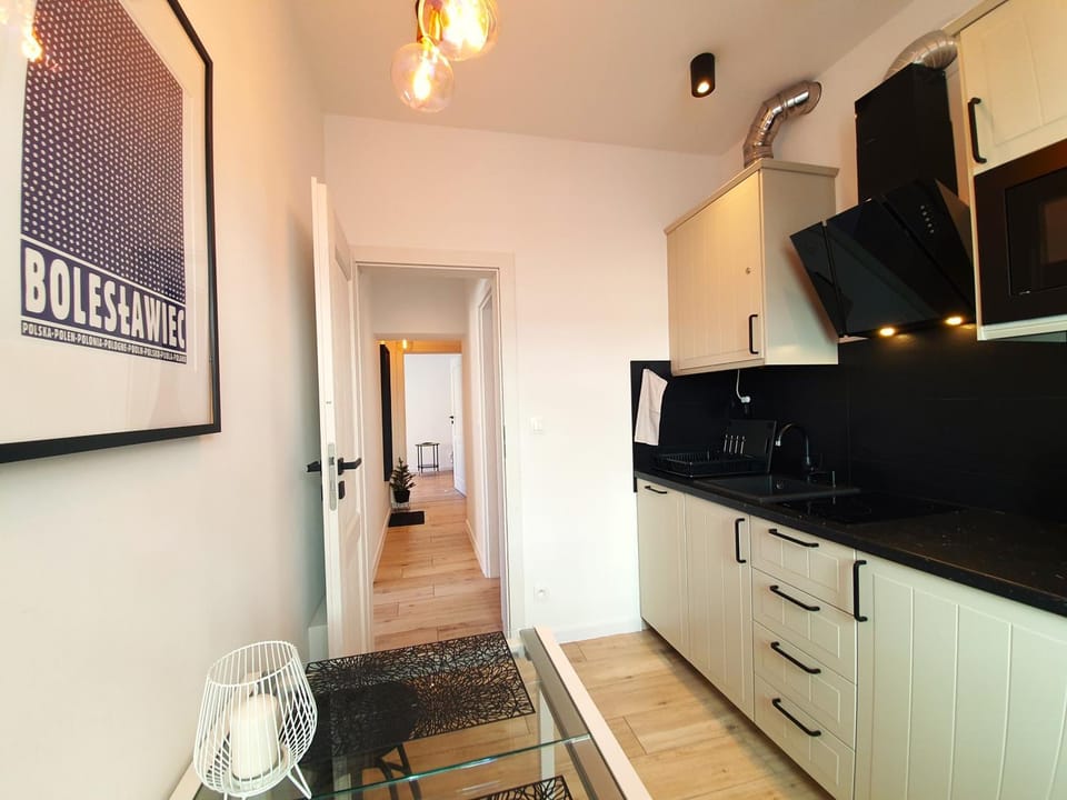 Apartament Przy Starówce - Zoni - 2 Osobne Sypialnie, 2 Separate Bedrooms in Old Town - Main Square, Amazing View, Top Location! Apartment in Lower Silesian Voivodeship
