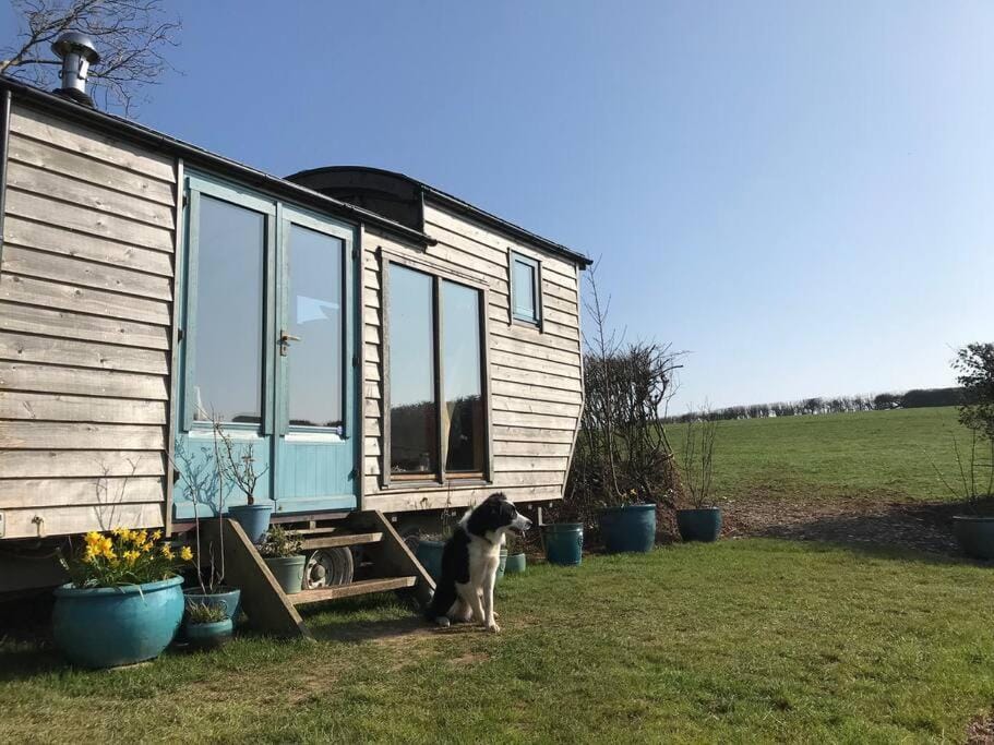 Secluded Shepherds Hut, with a view and hot tub House in Ashburton