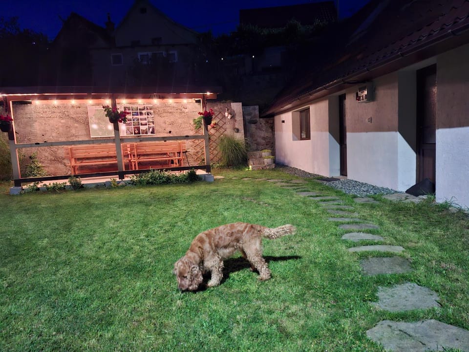 Casa nouă House in Romania