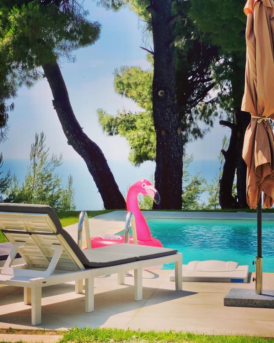 Day, Pool view, Swimming pool