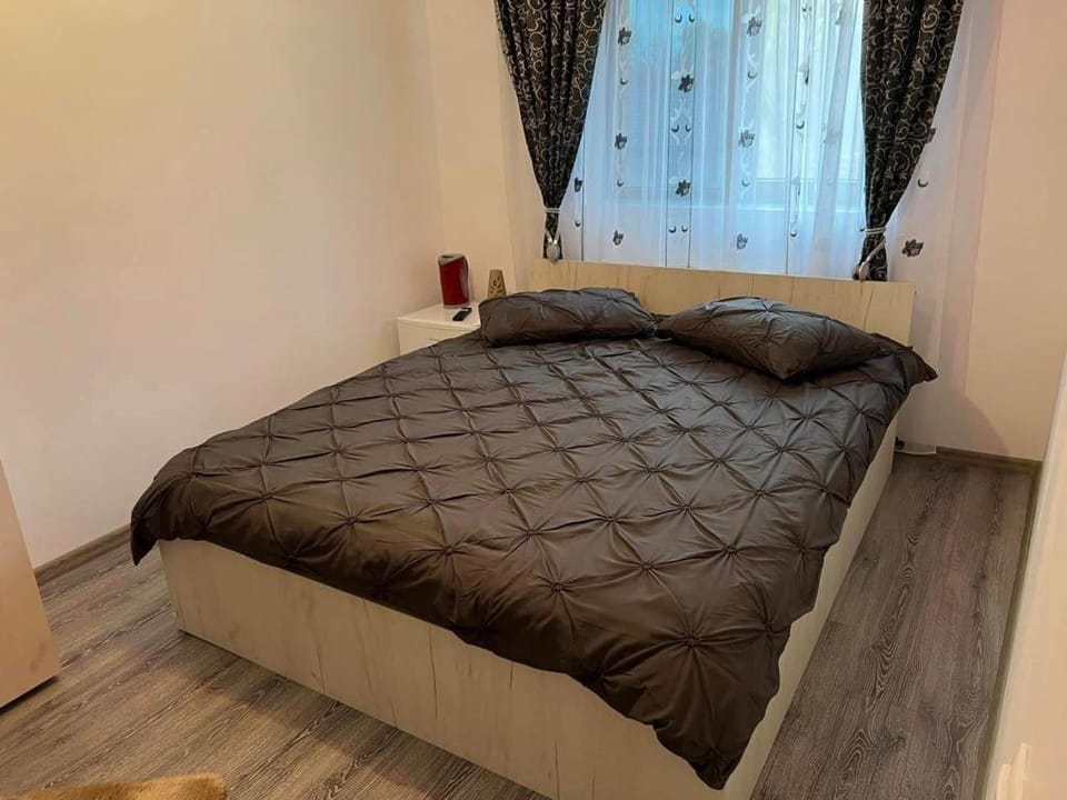Pensiunea B C M Bed and Breakfast in Dolj County, Romania