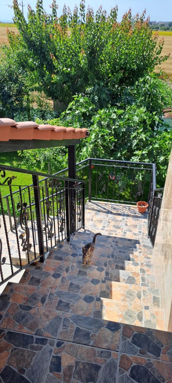 Anastassia Bed and Breakfast in Dobrich Province, Bulgaria