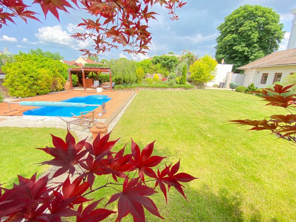 Garden, Garden, Autumn, Garden view, Garden view, Swimming pool, Sports