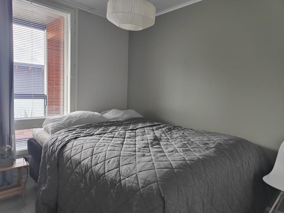 Saunallinen kaksio keskustan tuntumassa, autokatos Apartment in Finland