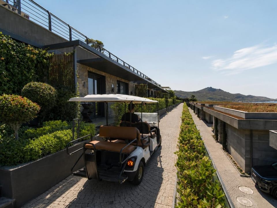 Day, Garden, Mountain view