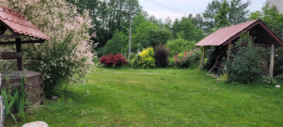 Natural landscape, Garden, Garden view