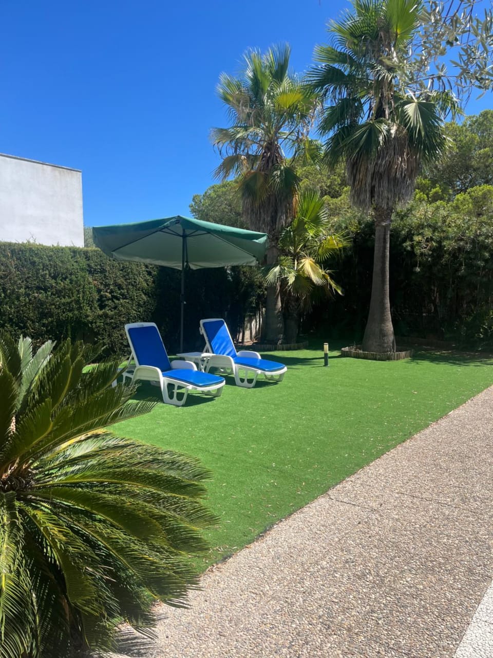 Garden view, sunbed