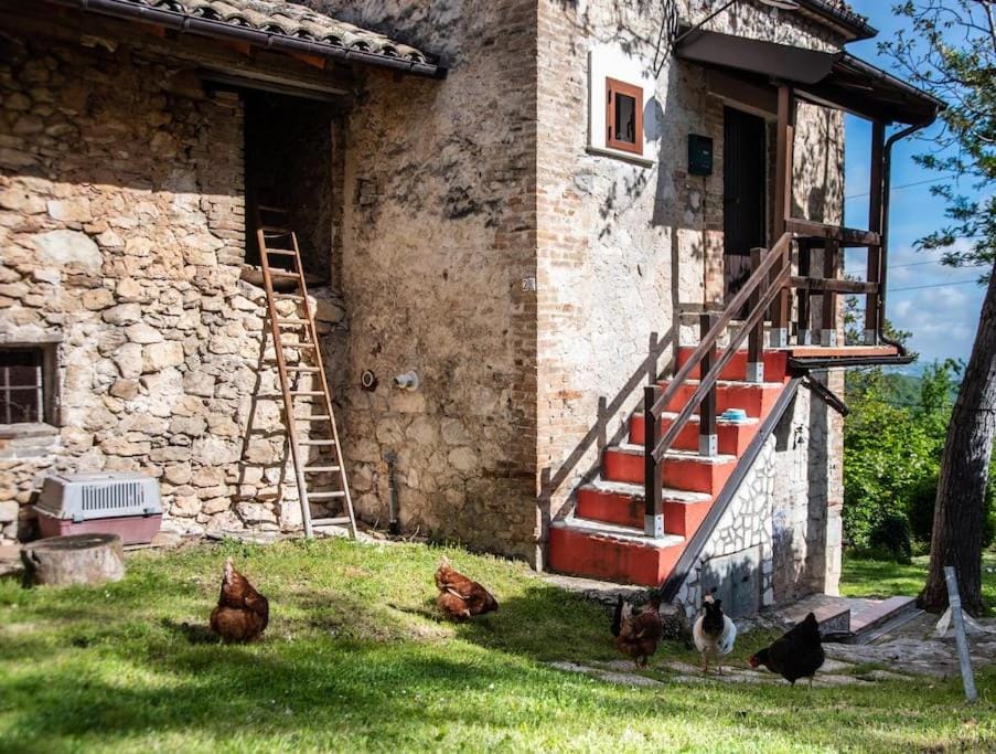 Il Rifugio del Cacciatore / The Hunter's Shelter House in Abruzzo