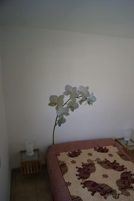 Maisonnette climatisée 46 m2 House in Andernos-les-Bains