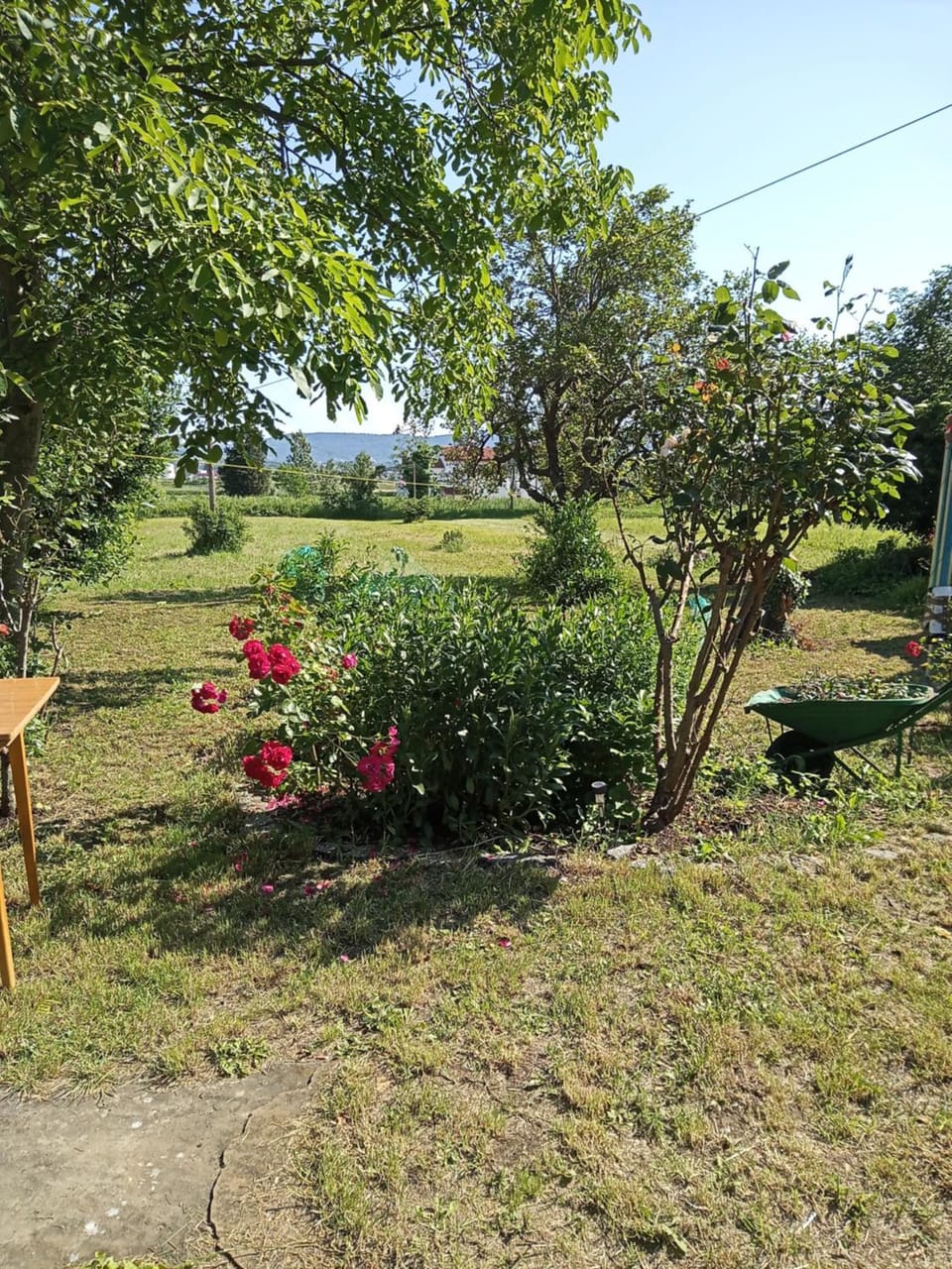 Garden, Garden view