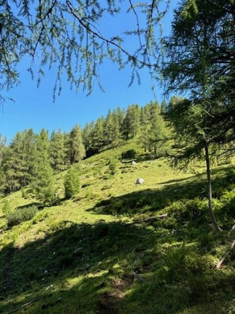 Hiking