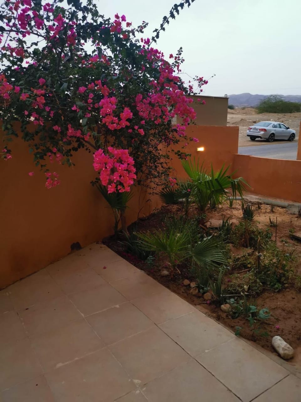 Garden, Garden view