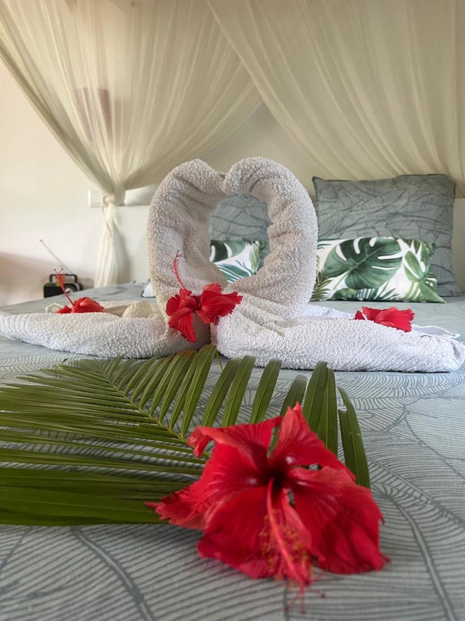 Chez Mélanie House in Leeward Islands