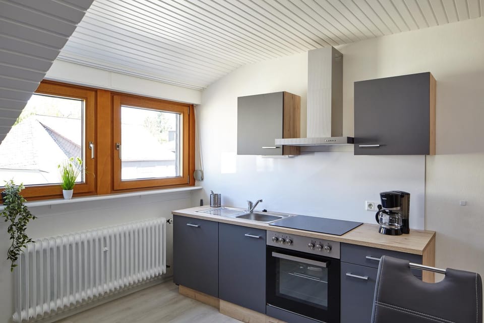 Kitchen or kitchenette, dishwasher, minibar, pet friendly, stove, toaster