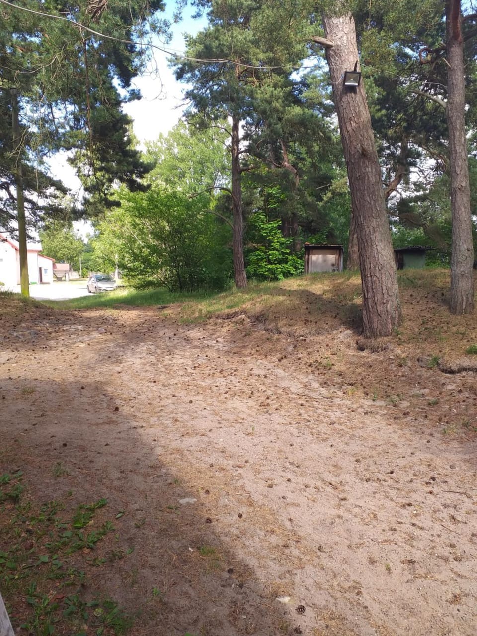 Natural landscape