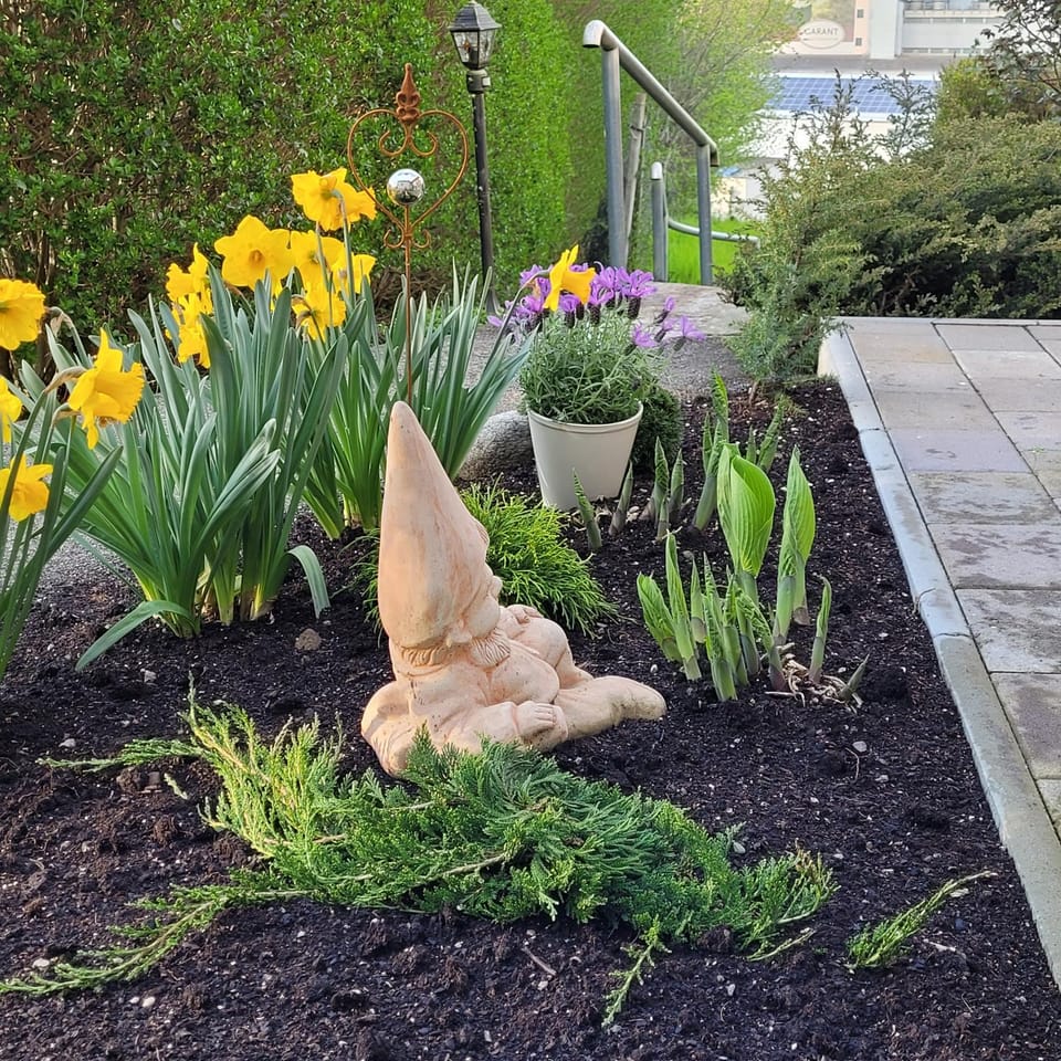 Garden view