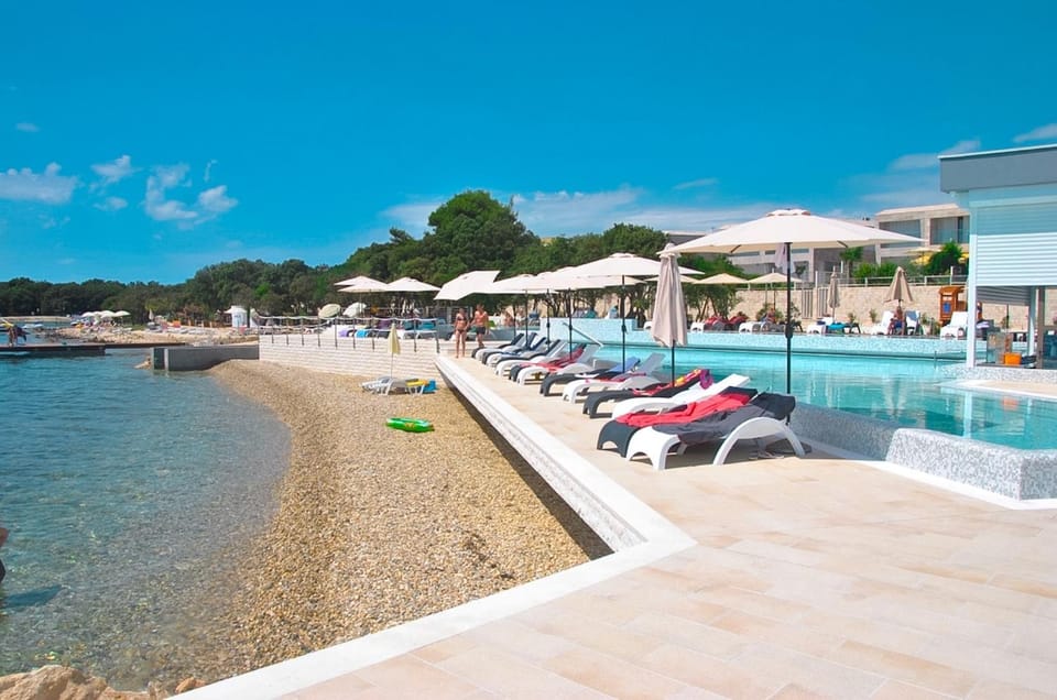 Beach, Swimming pool, Swimming pool, sunbed
