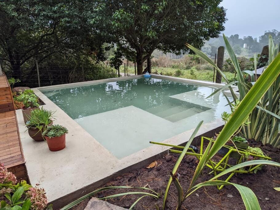 Day, Natural landscape, Garden, Garden view, Pool view, Swimming pool