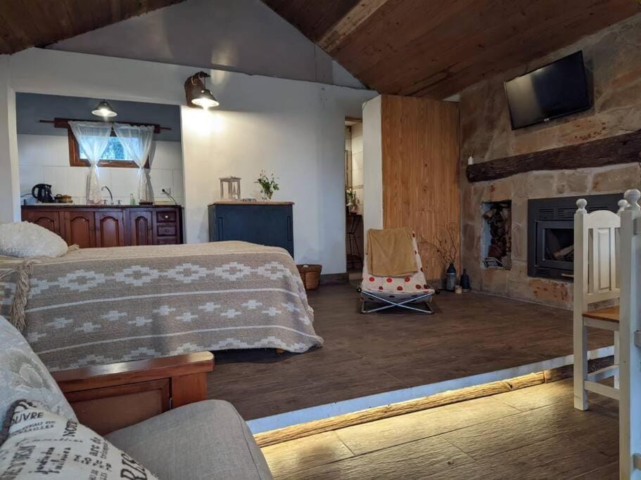 Bed, TV and multimedia, Kitchen or kitchenette, Living room, Photo of the whole room, Seating area, Bedroom